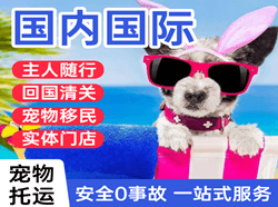 琼海空运公司国际宠物托运 【国
